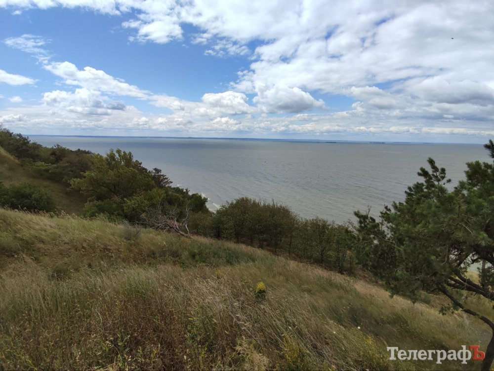 Прокурори Полтавщини довели до судів понад сотню справ про екозлочини