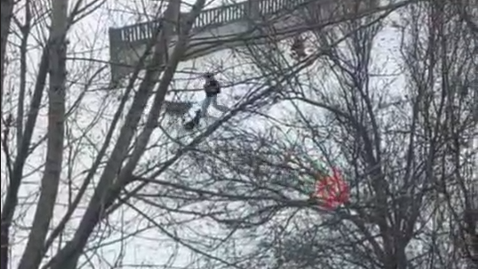 На Молодіжному зграя собак напала на школяра: відео