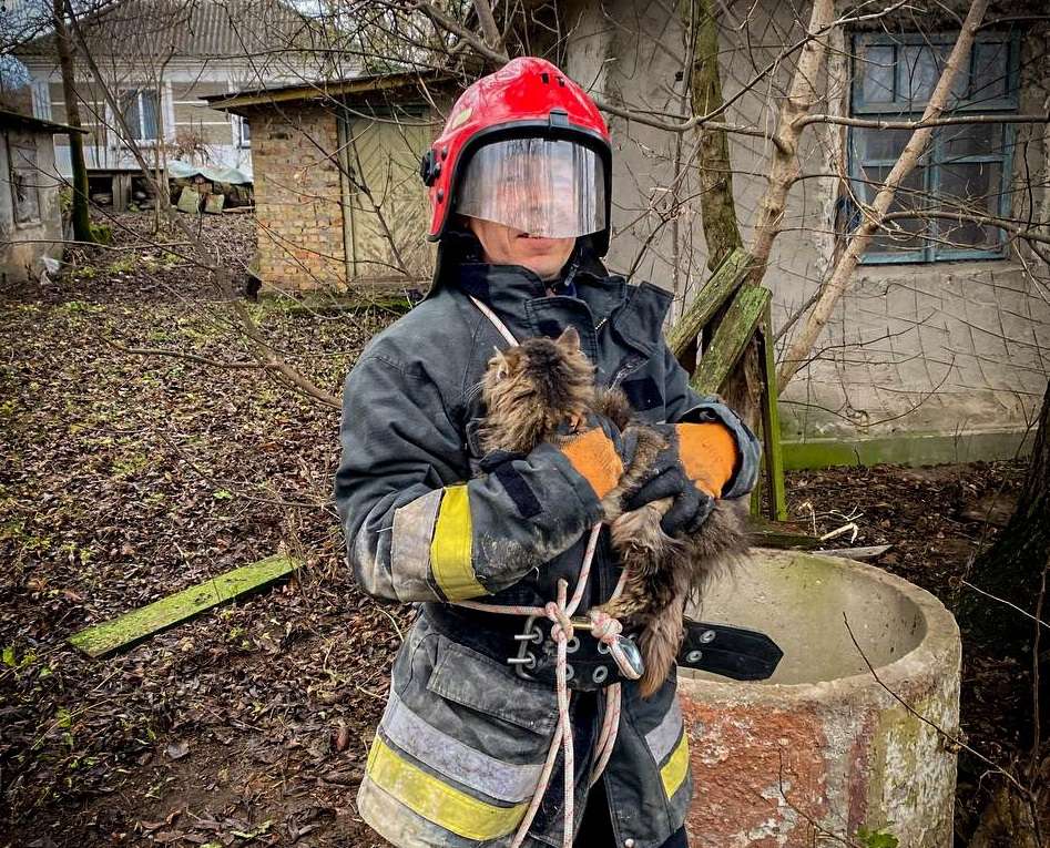 На Кременеччині рятувальники витягнули кота з колодязя