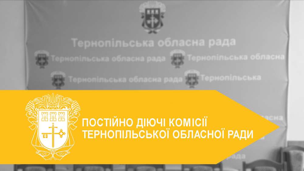 Постійні комісії Тернопільської обласної ради працюють над зміцненням освітньої та медичної сфер регіону