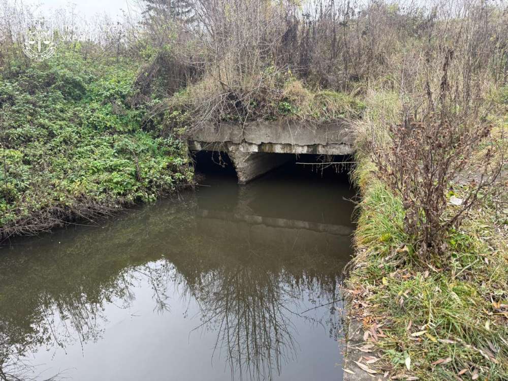 Суд повернув державі понад 14 гектарів земель водного фонду на Тернопільщині