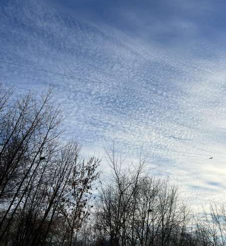 На Тернопільщині у вихідні буде хмарно з проясненням і без опадів