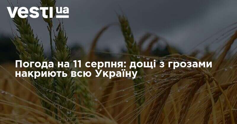 Погода на 11 серпня: дощі з грозами накриють всю Україну
