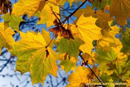 3 листопада: свята, події, факти. З'явився електрокардіограф та перший підводний тунель для транспорту