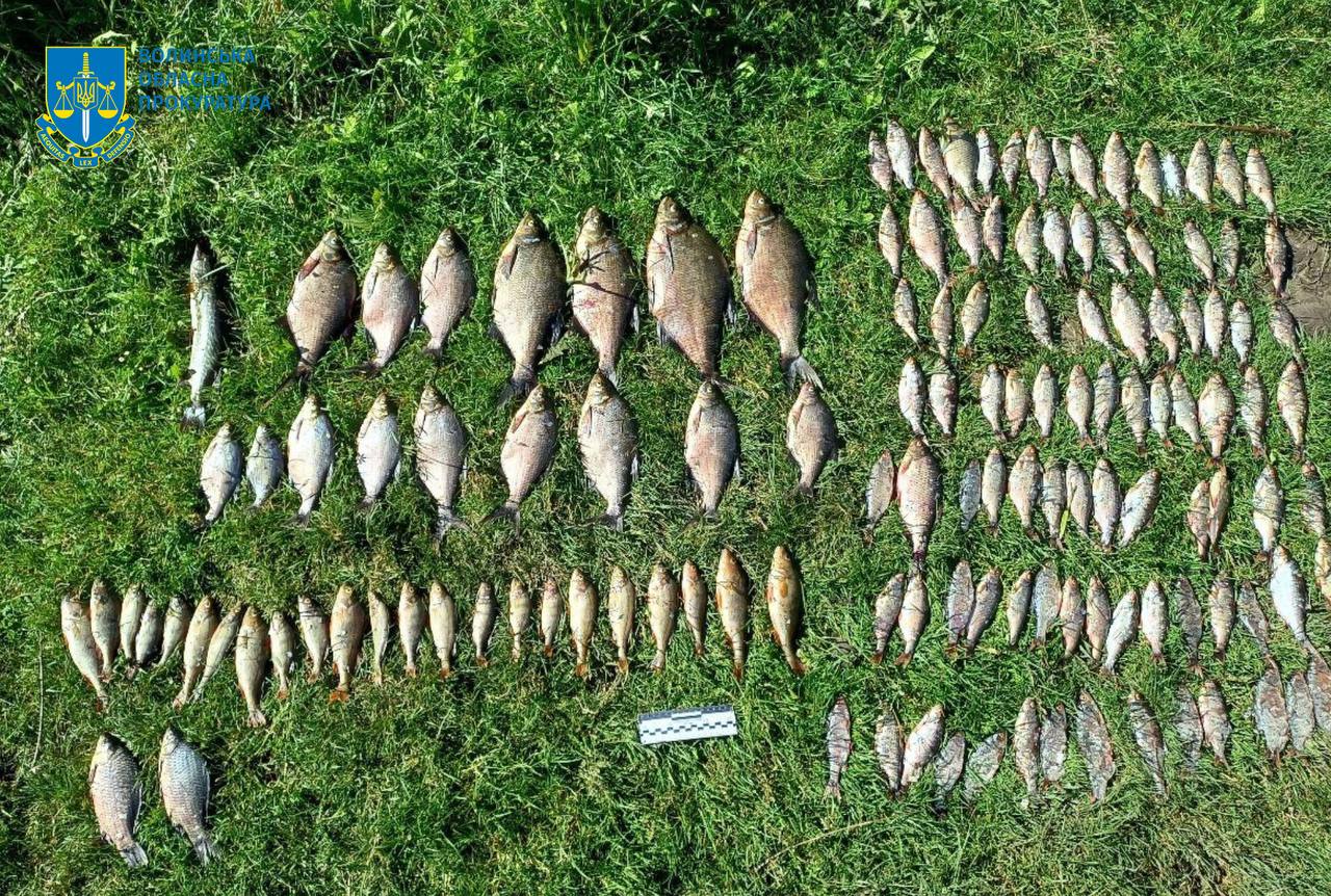 На Волині покарали чоловіка, який наловив риби на 663 тисячі гривень