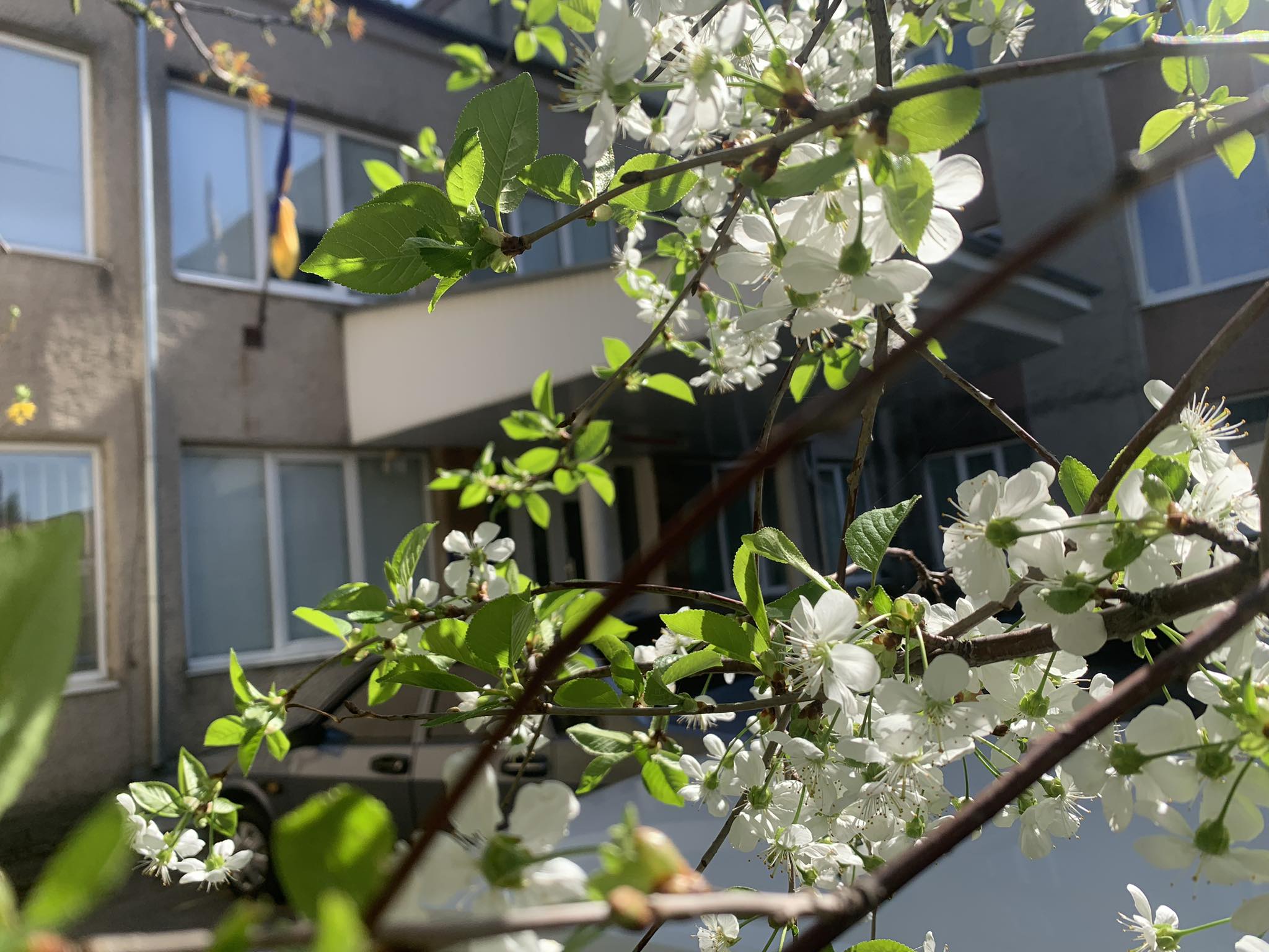 У лікарні на Волині відремонтують травматологічне відділення