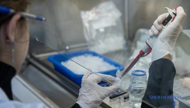 У Нідерландах через хантавірус відправили на шеститижневий карантин 12 медпрацівників