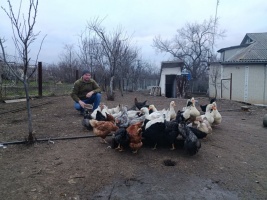 Чесне м’ясо з Перегонівки: як ветеран створює фермерський бізнес за підтримки держави