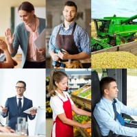 Хто і кого шукає: ринок праці Кіровоградщини у цифрах