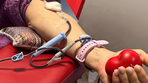 Кров для фронту та тилу: як жителі Кіровоградщини можуть стати донорами