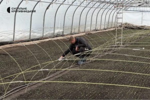 Гранти на сади та теплиці: як отримати аграріям Кіровоградщини