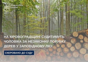 На Кіровоградщині судитимуть чоловіка за незаконну порубку дерев у заповідному лісі