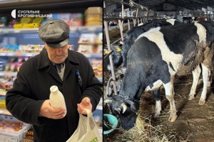 Знизилась закупівельна ціна на молоко: на Кіровоградщині є випадки здешевлення літра на дев'ять гривень