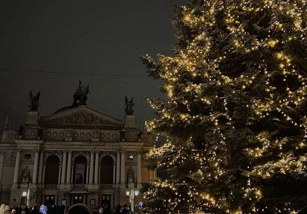 У Львові засвітять головну ялинку 5 грудня: де встановлять та що ще підготували місту