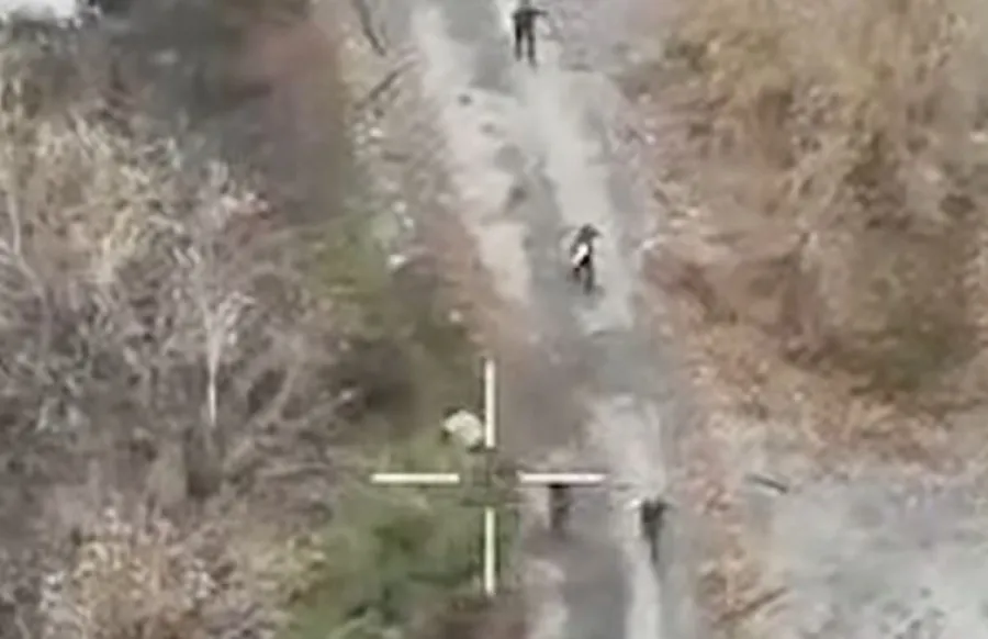 Украинские морпехи под Мирноградом берут оккупантов в плен группами. ВИДЕО