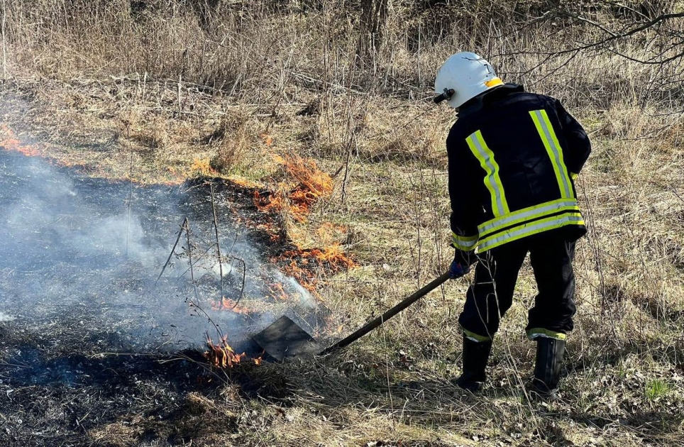 На Вінниччині за добу, 28 березня, сталося 13 пожеж в екосистемах