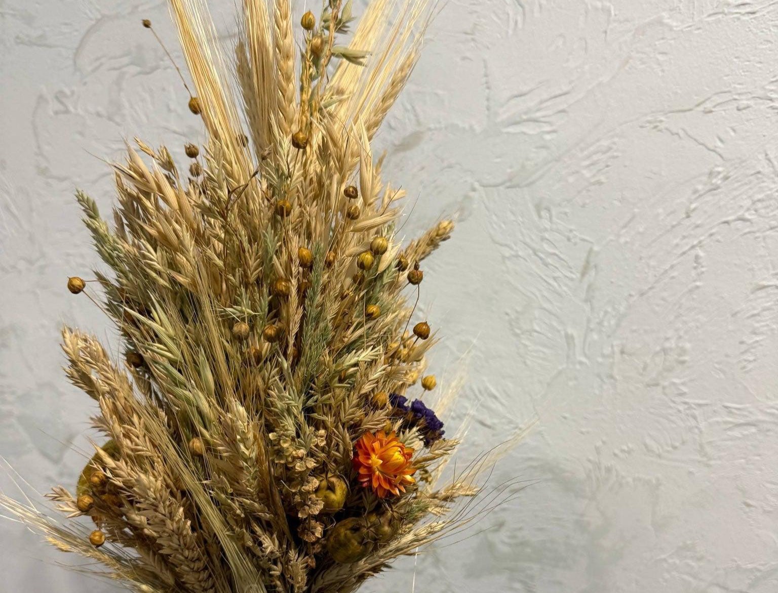 У Міській дитячої екологічній станції можна придбати святкові дідухи для допомоги ЗСУ