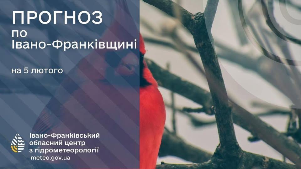 Сніг з дощем, туман, ожеледиця: Прогноз погоди на 05 лютого 2026р