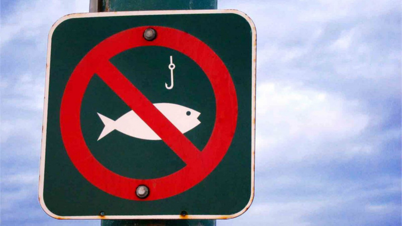 На Кіровоградщині стартує нерестова заборона на вилов риби