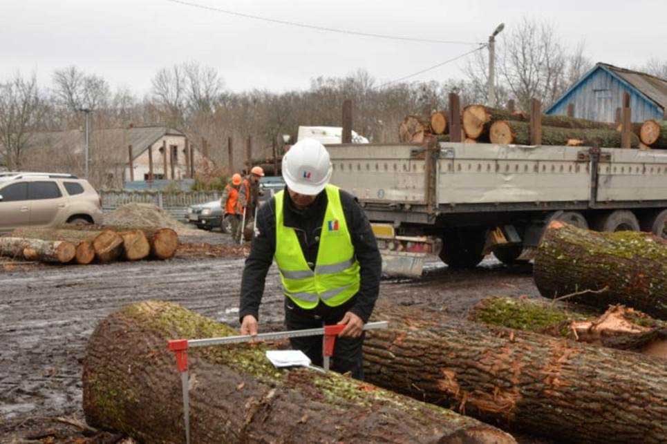 Агенти УЕБ здійснили контроль передачі реалізованої необробленої деревини покупцеві на Кіровоградщині