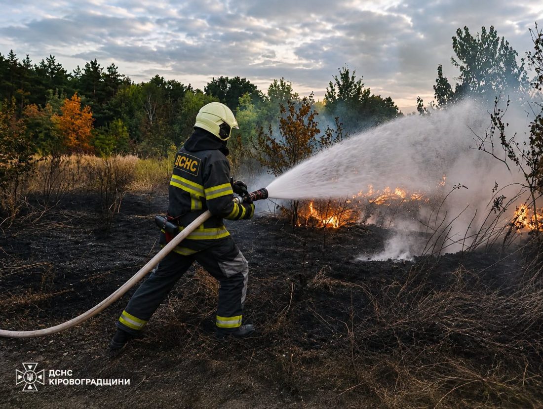 На Кіровоградщині через підпал сухостою вигоріло 10 га: вогонь охопив будівлю та ліс