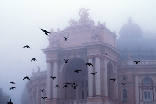 news-image