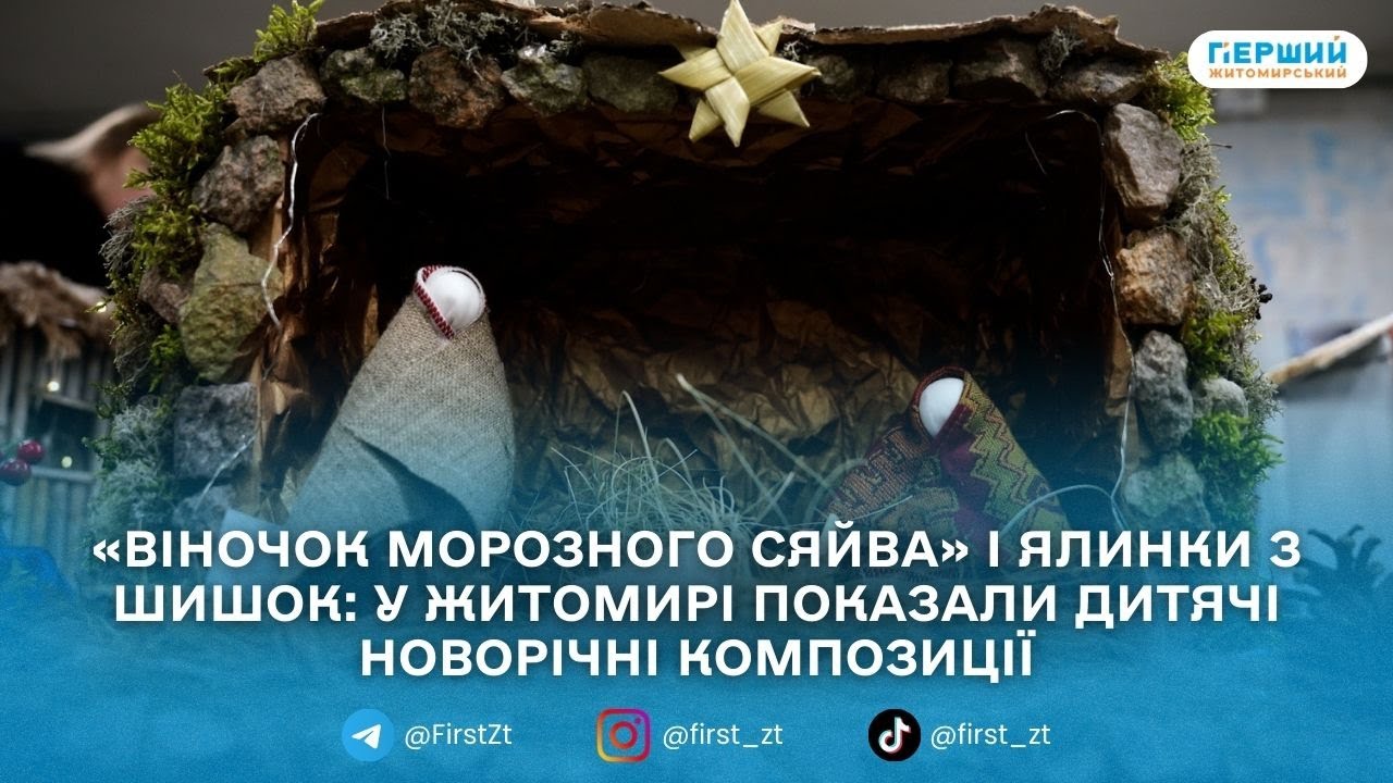 У Житомирі діти з усієї області створили «зимову казку» на виставці-конкурсі творчих робіт