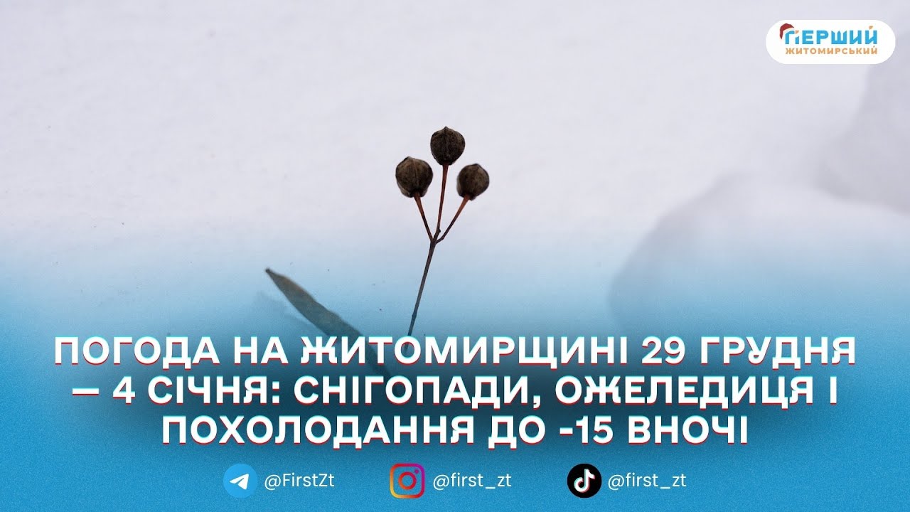 На Житомирщині утримається зимова погода: сніг, вітер і ожеледиця, а 1 січня — найсильніші морози