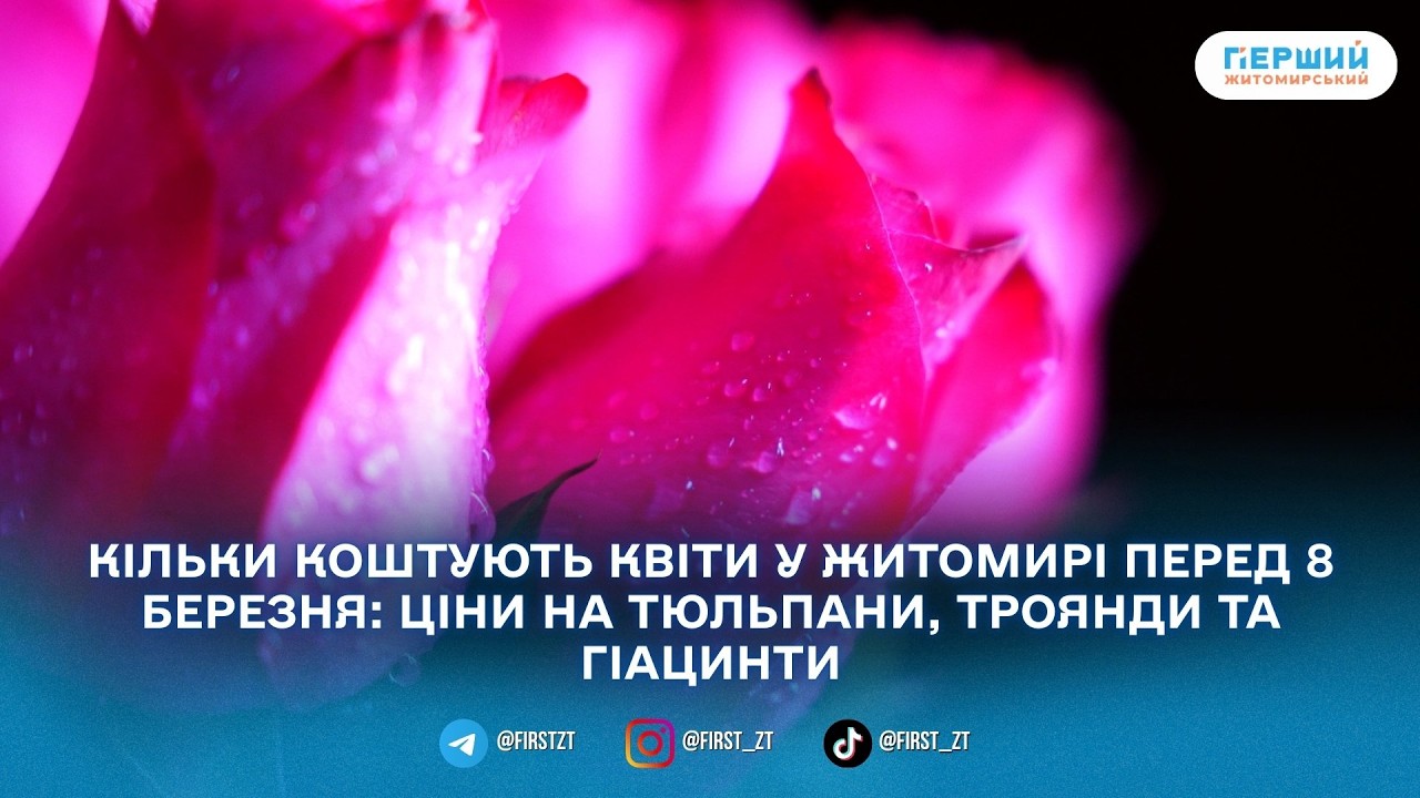У Житомирі перед 8 березня зріс попит на квіти: скільки коштують тюльпани, троянди та гіацинти