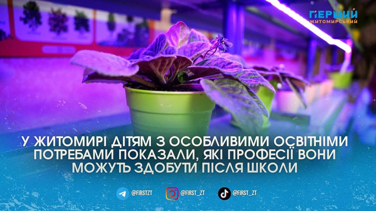 У Житомирі для дітей з ООП відкриють групи у профколеджі: можна буде опанувати фах квітникаря або штукатура
