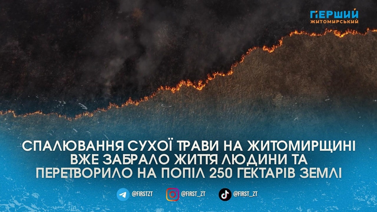 250 гектарів випаленої землі: рятувальники розповіли про ситуацію з масовими підпалами трави на Житомирщині