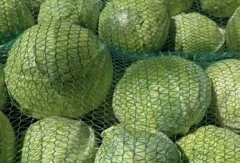 В Україні подешевшала капуста: яка тепер ціна на овоч