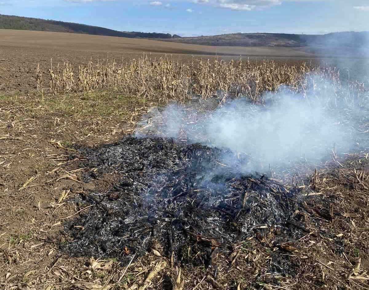 Жительку Тернопільщини оштрафували за випалювання сухої трави