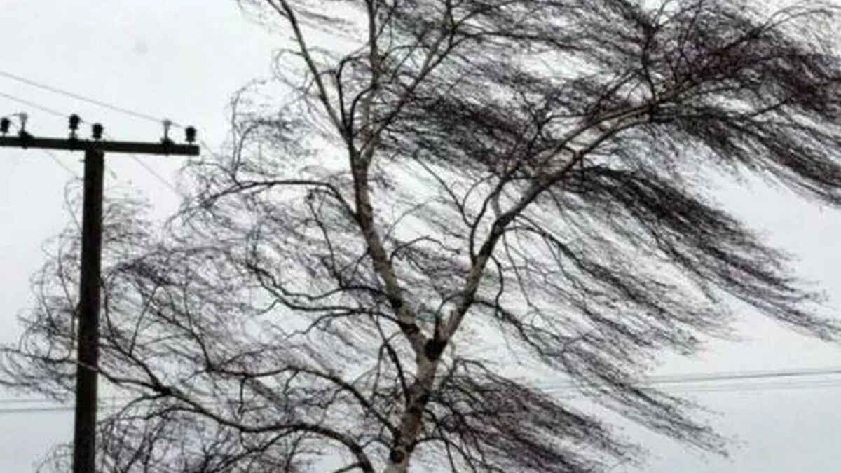Через сильний вітер майже 40 населених пунктів Тернопільщини мають перебої з електропостачанням