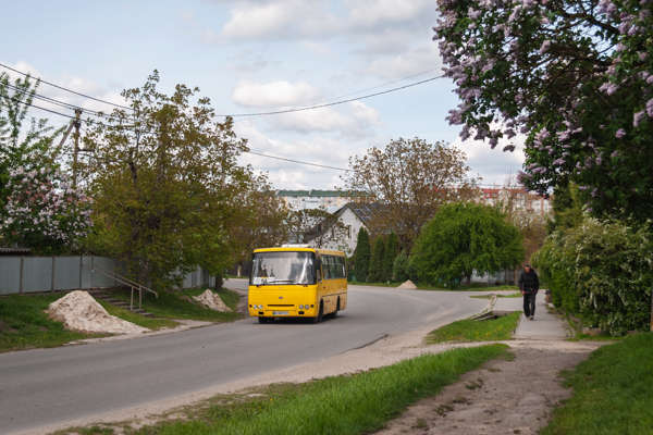 Автобус «Тернопіль – Острів» запустять з 25 червня: змінено схему перевезень