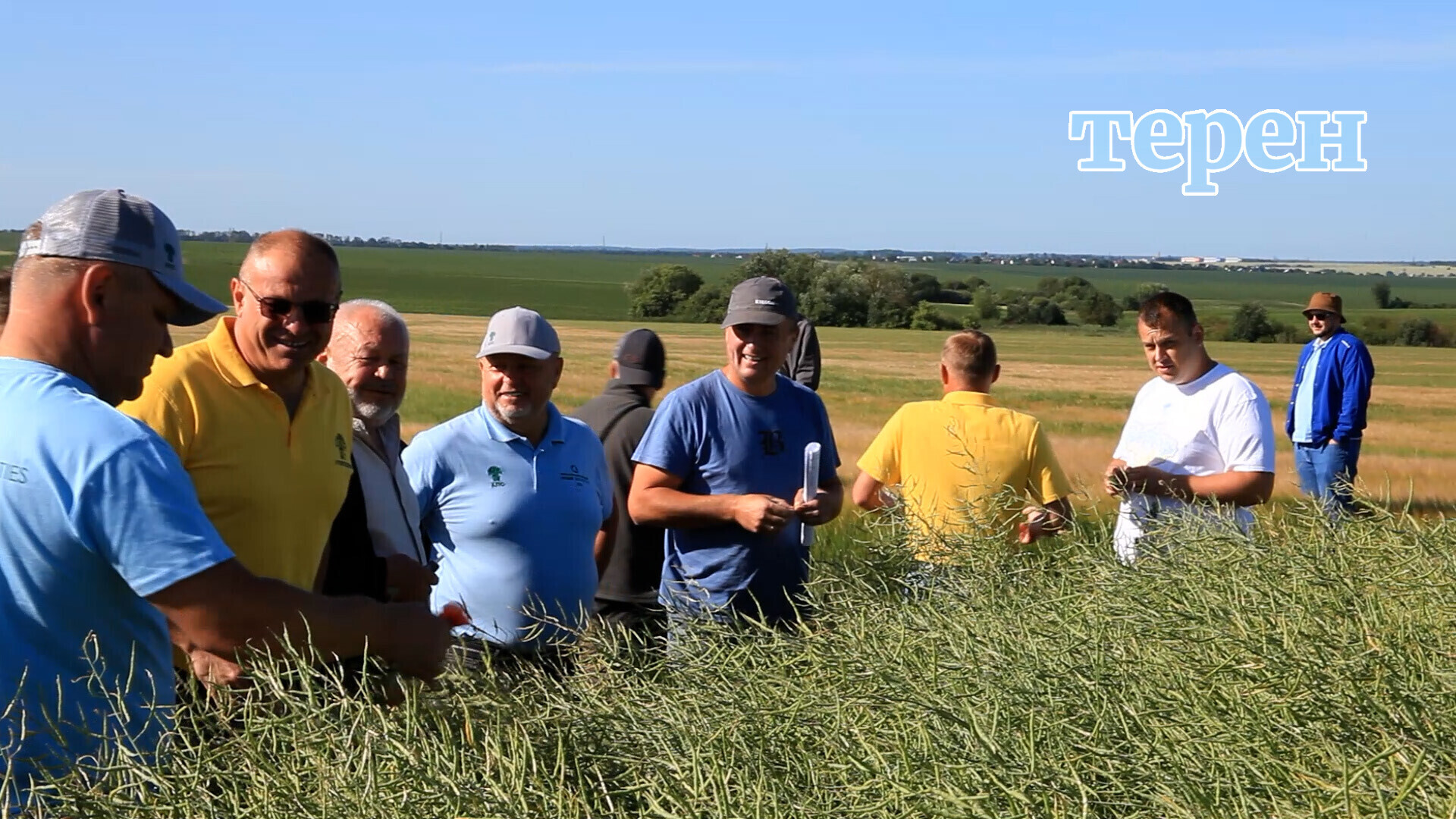 На Тернопільщині тривають агроекспедиції: оцінюють якість цьогорічних посівів (відео)