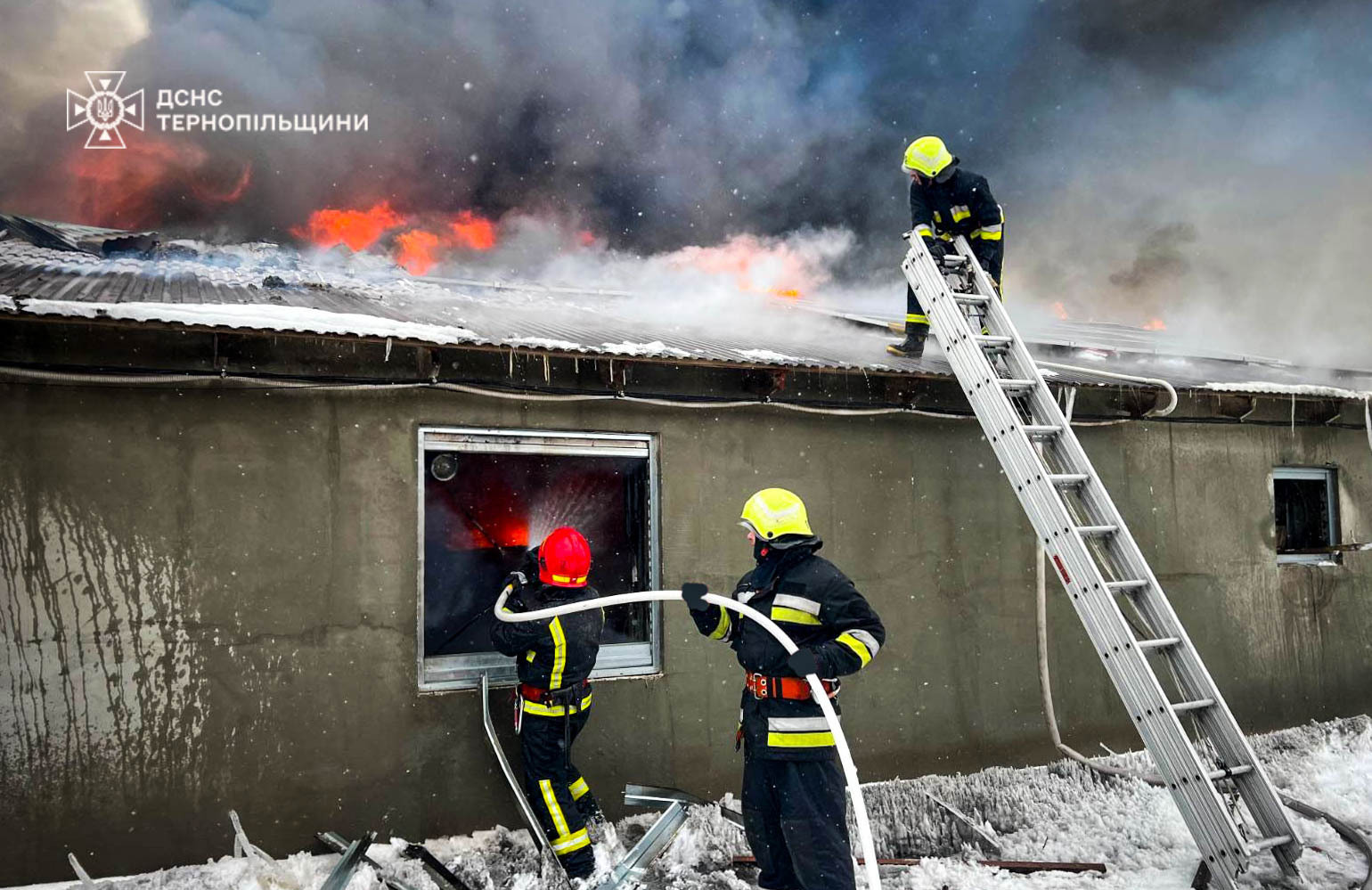 Залучили п'ять автоцистерн: масштабна пожежа на Тернопільщині (фото)