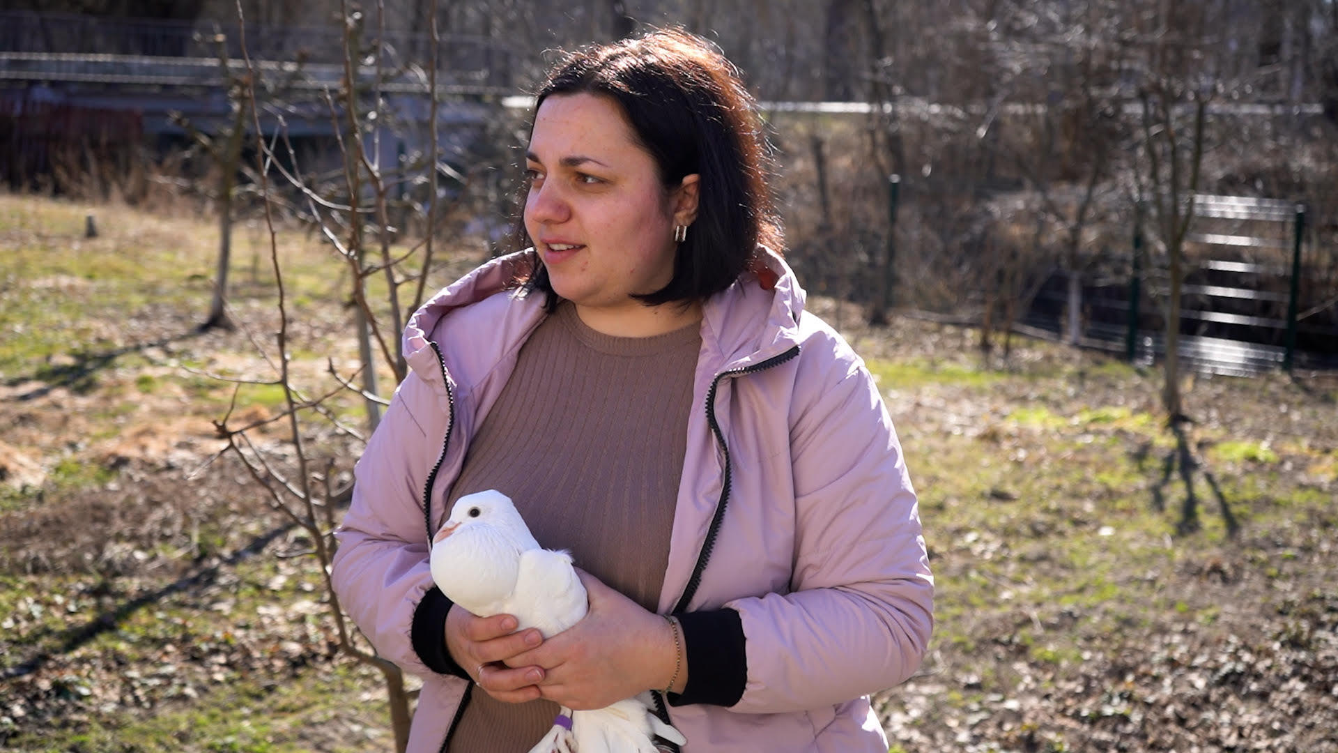 Десятки голубів різних порід колекціонує родина з Тернопільщини (відео)