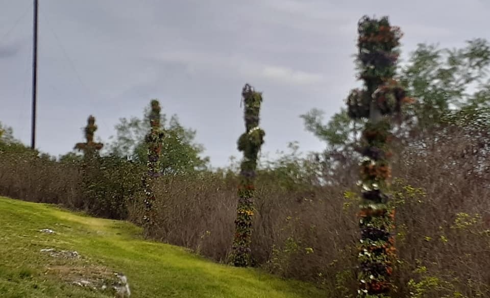 Традицію вбирання хрестів з Тернопільщини включили у Національний перелік (фото)