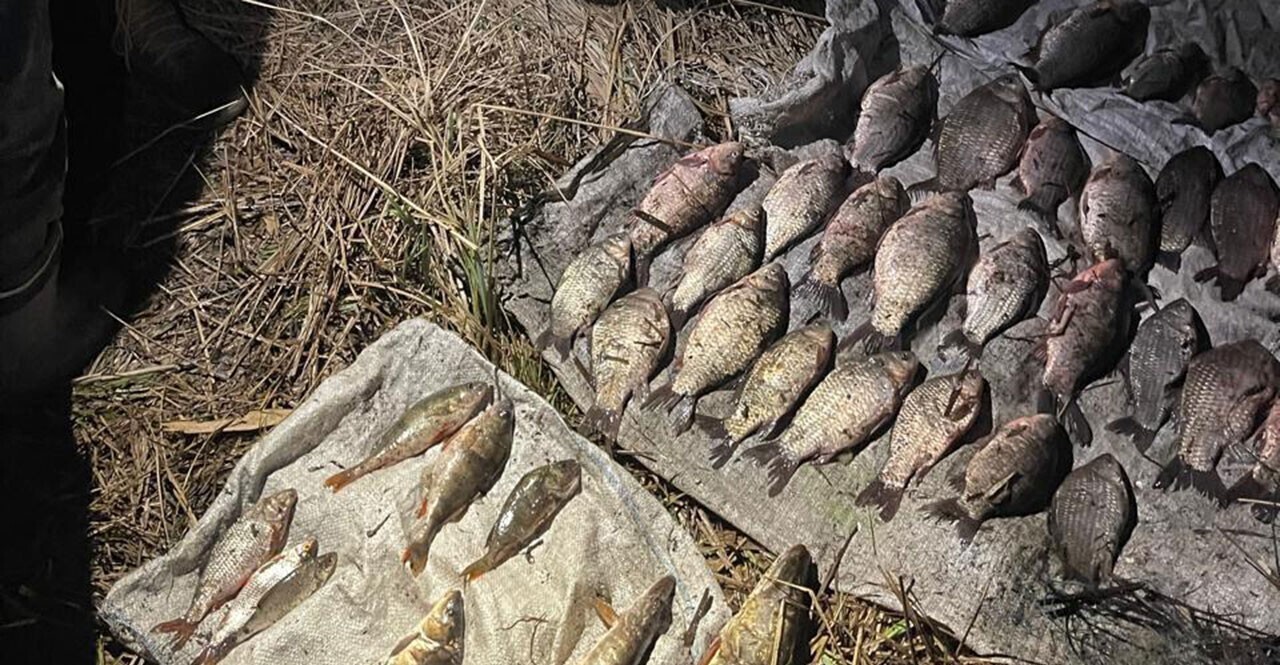 Жителю Тернопільщини загрожує три роки тюрми за риболовлю (фото)