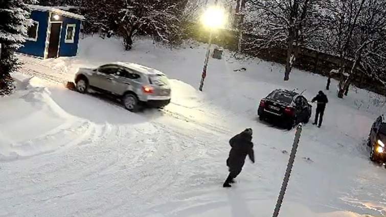 Поліція Львівщини знайшла водія, який переїхав собаку і втік: йому загрожує до трьох років