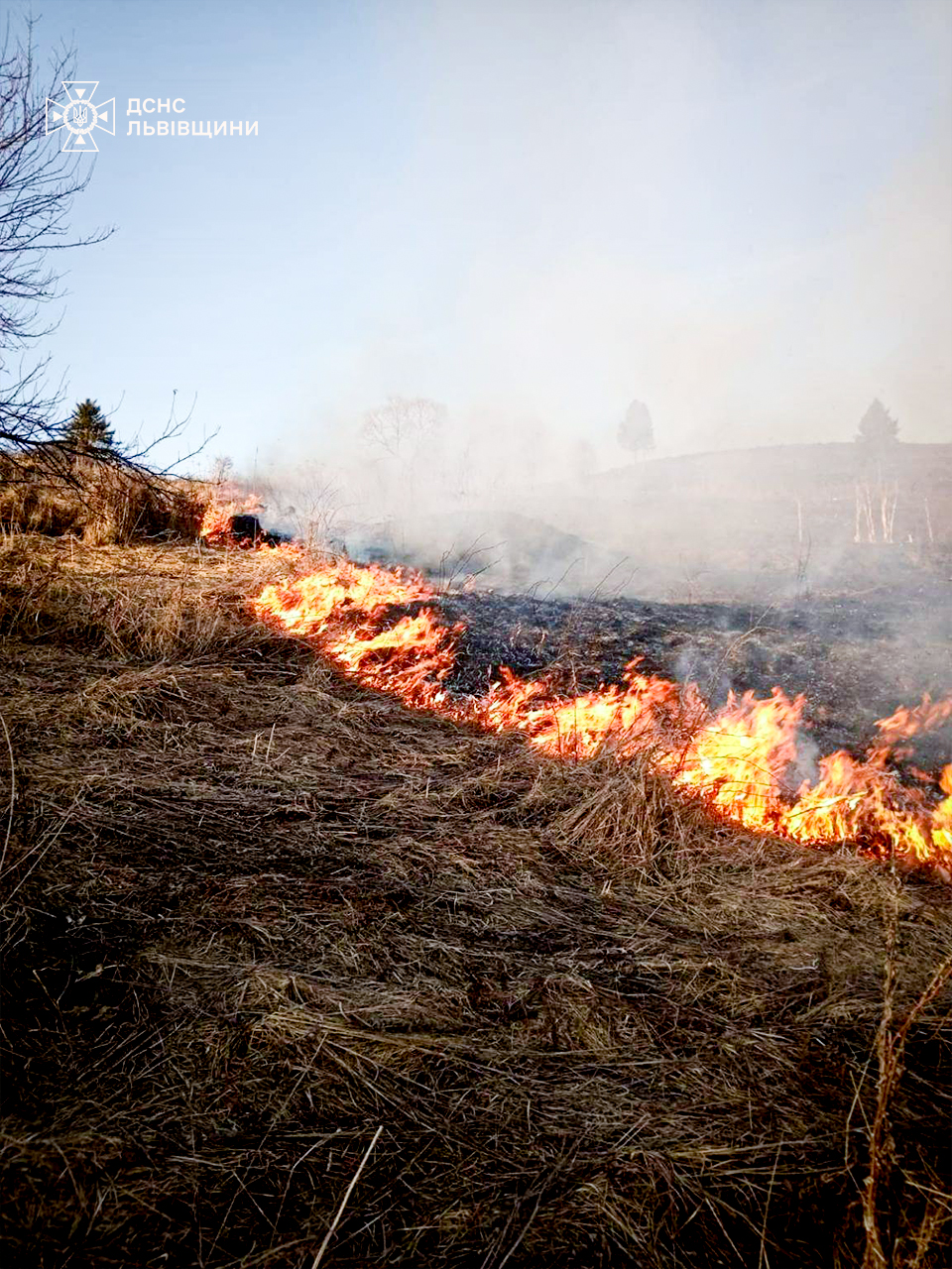 18 пожеж сухостою за добу: рятувальники Львівщини нагадують про штрафи