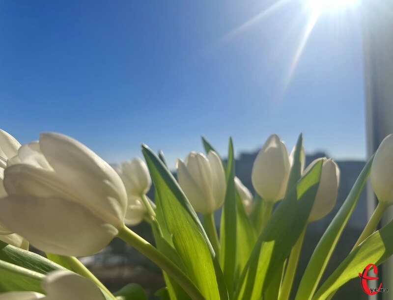 Синоптики прогнозують до +18° завтра у Львові та області