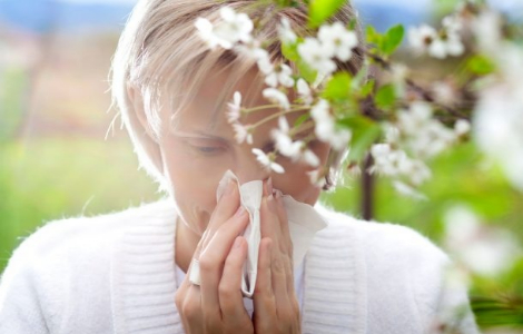 7 міфів про сезонну алергію, котрі вже час спростувати