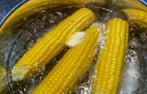 5 міфів про кукурудзу, в які досі вірять люди