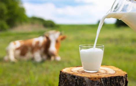 Два випадки, в яких варто виключити з раціону молочні продукти