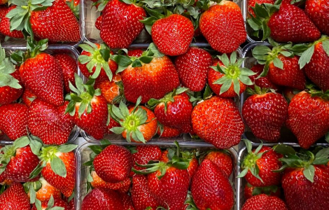 Ягода, яка захищає людину від згубного впливу сонця