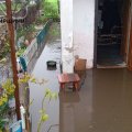 У Житомирі та Малині рясні дощі підтопили подвір'я та житлові будинки. ФОТО