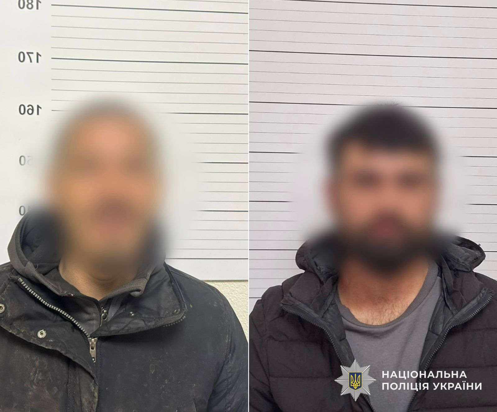 Поліція Закарпаття затримала грабіжників, які побили пенсіонерку в селі Іза