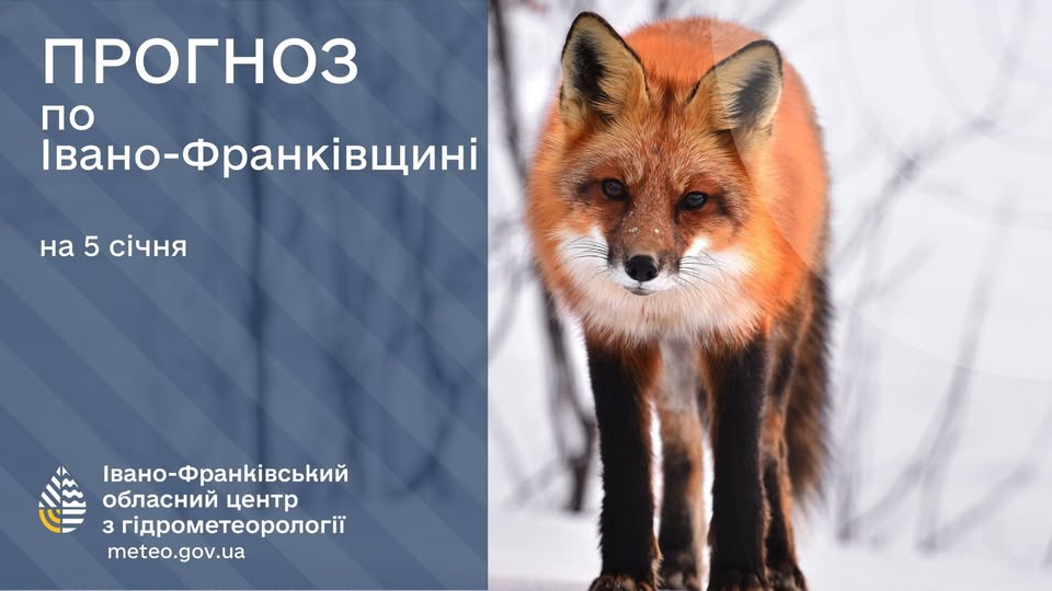 Прогноз погоди по Івано-Франківську та області на 05 січня 2026 року